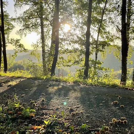 Ferienhaus Les Juliannes - La Pierre Etoilee Piscine Jardin