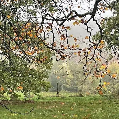 Les Juliannes - La Pierre Etoilee Piscine Jardin Ferienhaus