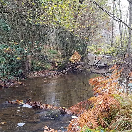 Ferienhaus Les Juliannes - La Pierre Etoilee Piscine Jardin Paulinet