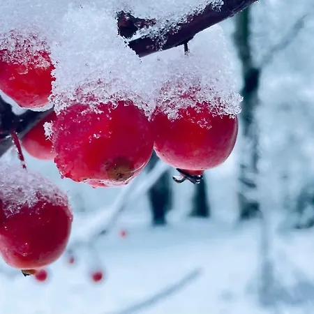 Дом отдыха Les Juliannes - La Pierre Etoilee Piscine Jardin Paulinet