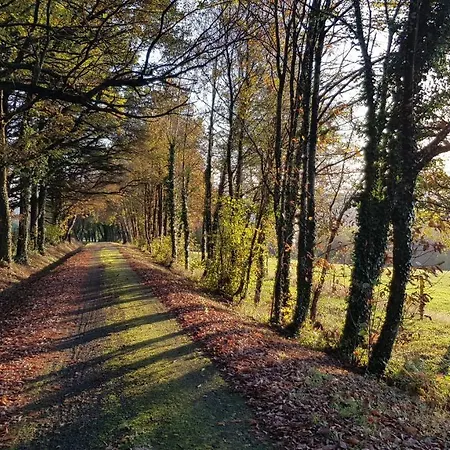Les Juliannes - La Pierre Etoilee Piscine Jardin * Paulinet