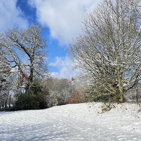 Les Juliannes - La Pierre Etoilee Piscine Jardin *