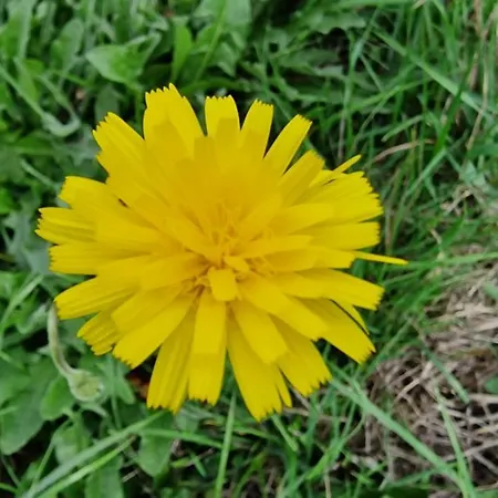 Les Juliannes - La Pierre Etoilee Piscine Jardin * Paulinet
