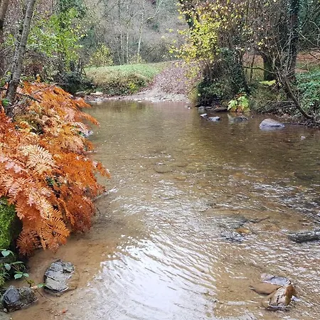 Les Juliannes - La Pierre Etoilee Piscine Jardin Dom wakacyjny Paulinet