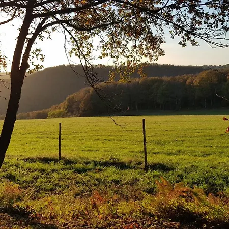 Les Juliannes - La Pierre Etoilee Piscine Jardin