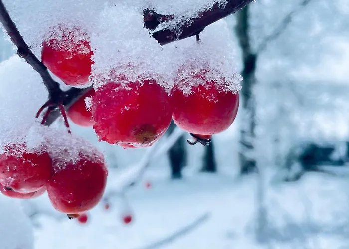 Σπίτι διακοπών Les Juliannes - La Pierre Etoilee Piscine Jardin Paulinet