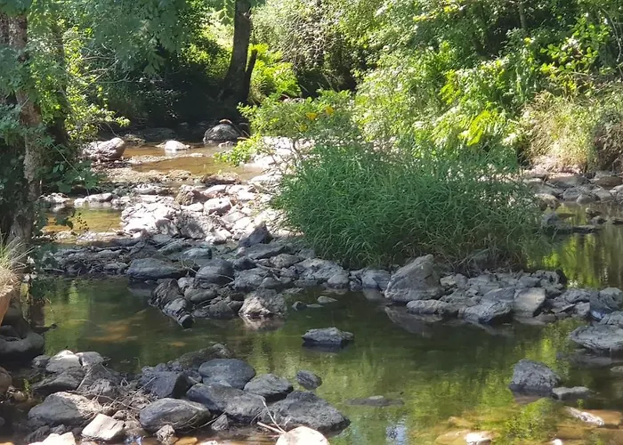 Σπίτι διακοπών Les Juliannes - La Pierre Etoilee Piscine Jardin