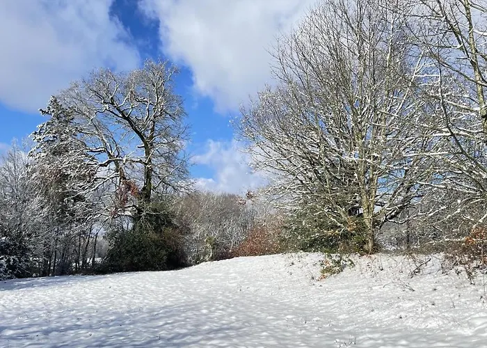 Les Juliannes - La Pierre Etoilee Piscine Jardin *