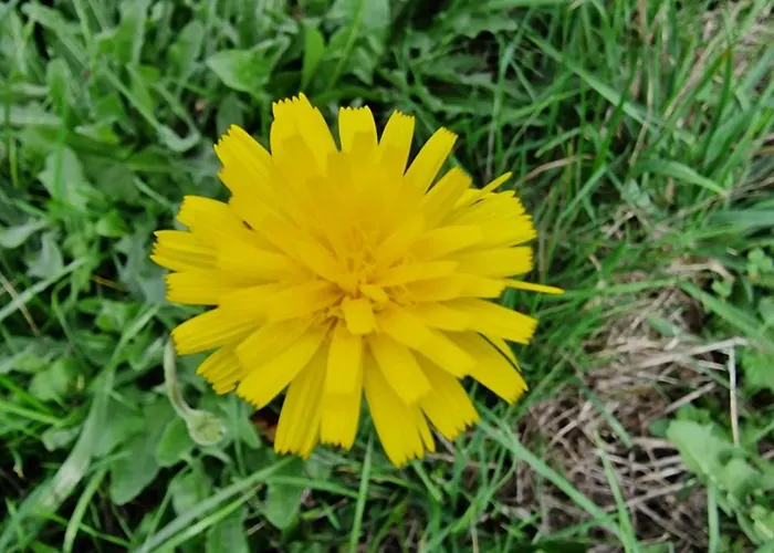 Les Juliannes - La Pierre Etoilee Piscine Jardin * Paulinet