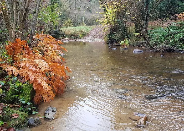 Les Juliannes - La Pierre Etoilee Piscine Jardin Σπίτι διακοπών Paulinet