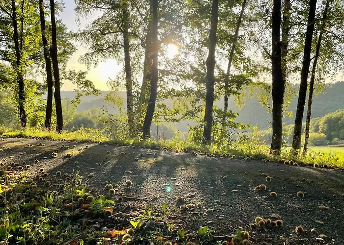 Σπίτι διακοπών Les Juliannes - La Pierre Etoilee Piscine Jardin