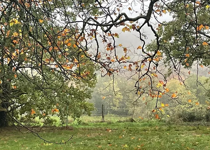 Les Juliannes - La Pierre Etoilee Piscine Jardin Σπίτι διακοπών