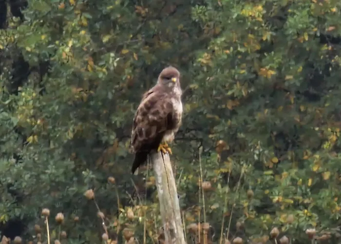 Σπίτι διακοπών Les Juliannes - La Pierre Etoilee Piscine Jardin Paulinet
