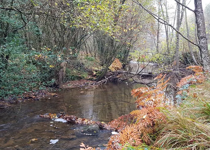 Σπίτι διακοπών Les Juliannes - La Pierre Etoilee Piscine Jardin Paulinet